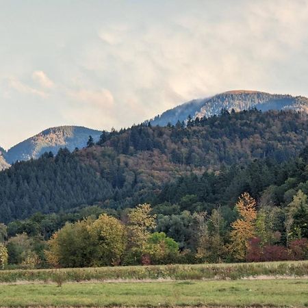 Ferienwohnung Belchenblick Staufen im Breisgau Kültér fotó