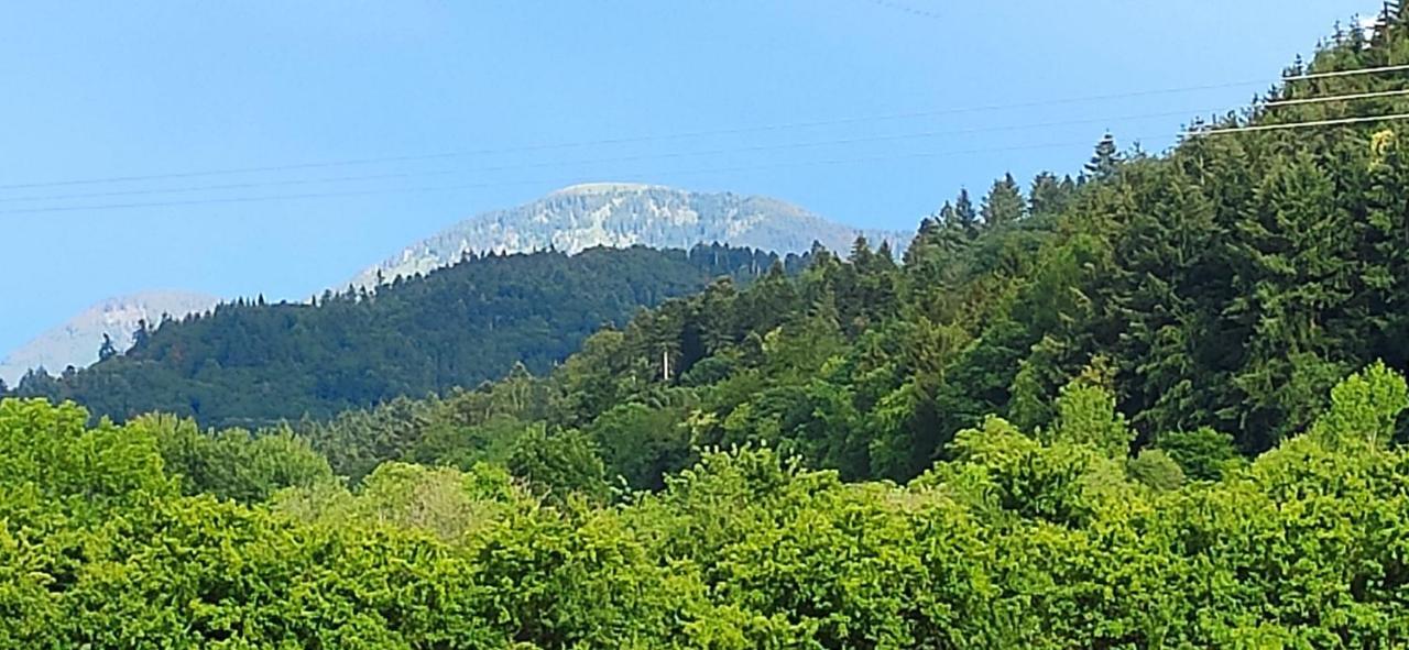 Ferienwohnung Belchenblick Staufen im Breisgau Kültér fotó
