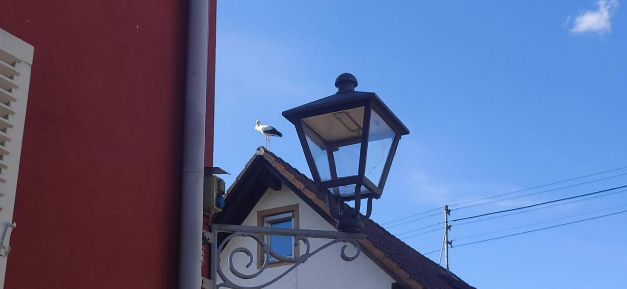 Ferienwohnung Belchenblick Staufen im Breisgau Kültér fotó