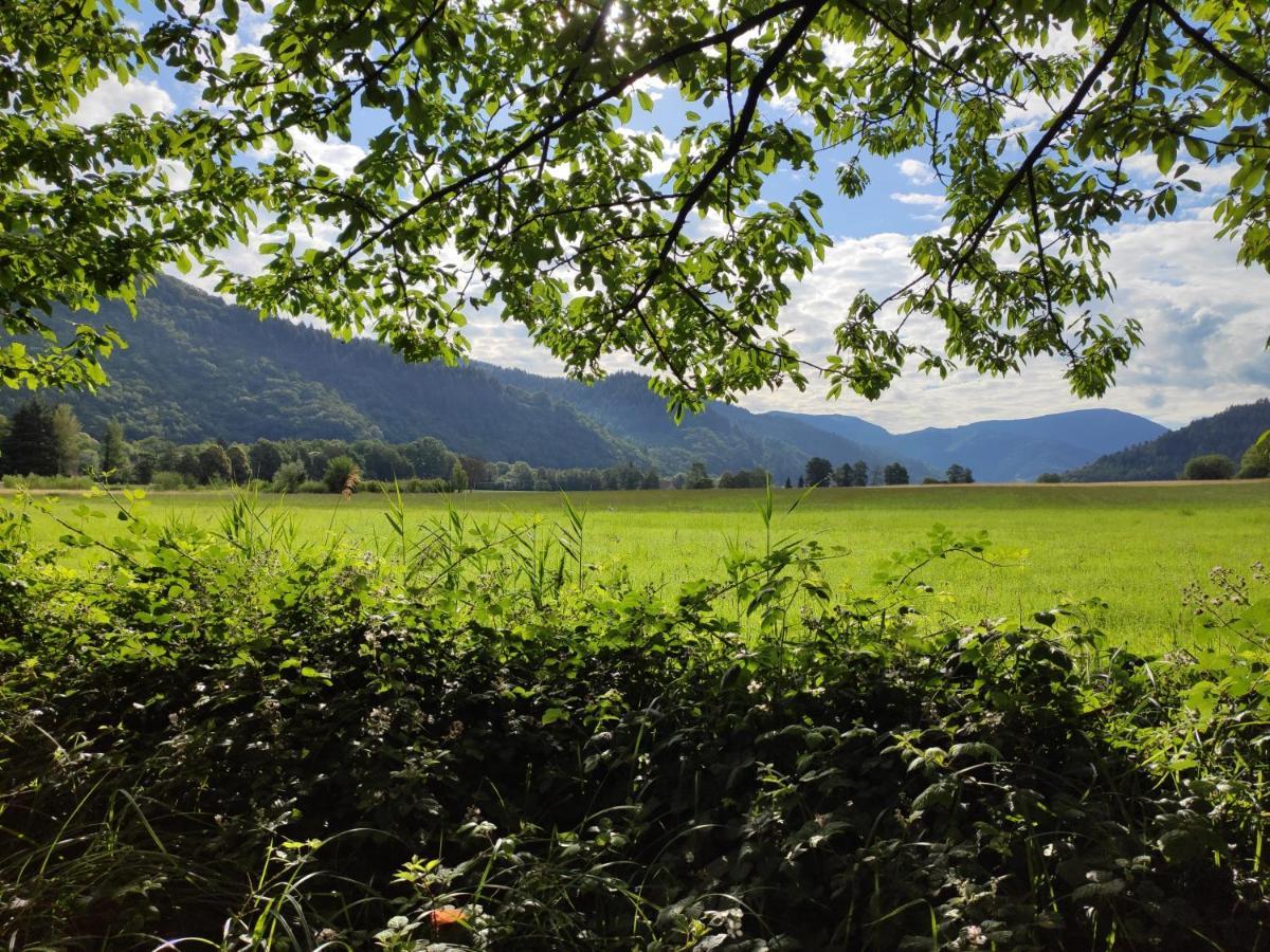 Ferienwohnung Belchenblick Staufen im Breisgau Kültér fotó