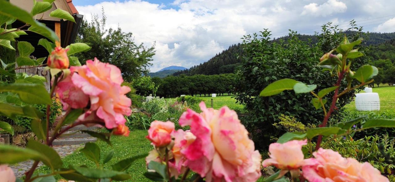Ferienwohnung Belchenblick Staufen im Breisgau Kültér fotó