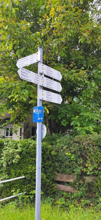 Ferienwohnung Belchenblick Staufen im Breisgau Kültér fotó