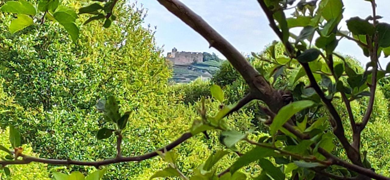 Ferienwohnung Belchenblick Staufen im Breisgau Kültér fotó