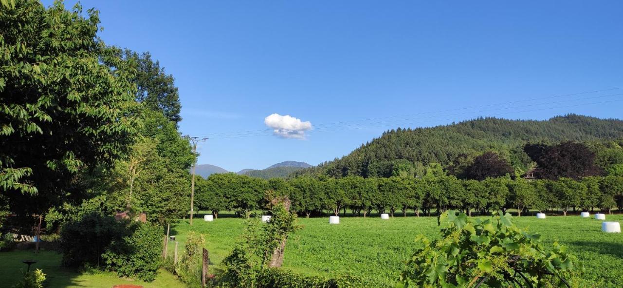 Ferienwohnung Belchenblick Staufen im Breisgau Kültér fotó