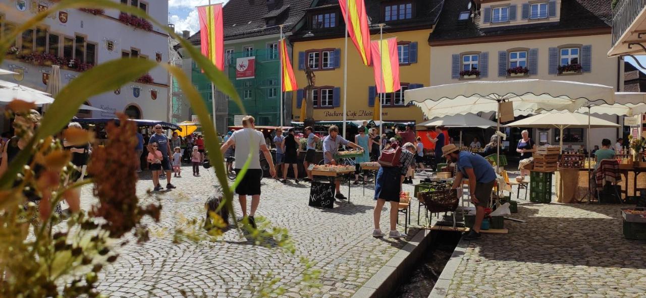 Ferienwohnung Belchenblick Staufen im Breisgau Kültér fotó